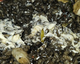 Foto del paso 11 de la receta: Arroz con verduras de temporada "Lucas"