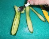 Foto del passaggio 4 della ricetta Bocconcini rinfrescanti al cetriolo con Certosa, pomodorini ed erba cipollina