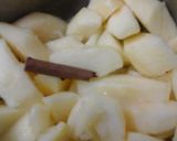 A picture of step 2 of Sweet Pork with Apple Cinnamon Sauce 😀😊.