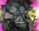 Foto del paso 2 de la receta: Caldo de quelite largo (Nit yet añaá)