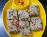 ફોતરાવાળી મગની દાળ ના ઢોકળા (Fotravali Moong Dal Dhokla Recipe In Gujarati) રેસીપી સ્ટેપ4ફોટો