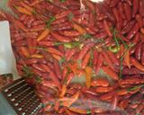 A picture of step 3 of 2015 vinegar hot pepper sauce.