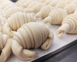 Foto del paso 5 de la receta: Croissant 🇫🇷 🥐❤