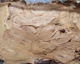 Foto del paso 4 de la receta: Chocotorta