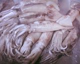 A picture of step 1 of Calamari Combo.