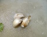 வரகு கஞ்சி(varagu kanji recipe in tamil) ரெசிபி ஸ்டேப் 1 புகைப்படம்