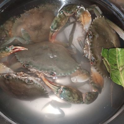 Langkah 1