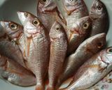 A picture of step 1 of Red Mullet with Cornmeal.