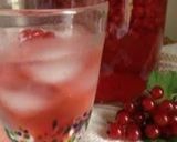 A picture of step 8 of Redcurrant Salad.
