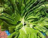 Hình bước làm 1 của món Dưa cải