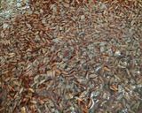 A picture of step 2 of Brown Rice Milk.