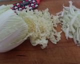 Foto del paso 2 de la receta: Wok de Cerdo agridulce con Col China