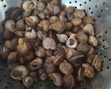 Foto del paso 2 de la receta: Caracoles 🇦🇷🇪🇦