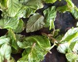 A picture of step 1 of Mojito.