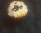 Foto del paso 7 de la receta: Muffins de manzana con canela
