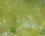 Foto langkah ke 6 dari resep Sayur Kuning Daging Sapi Khas Betawi.