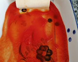Foto del paso 9 de la receta: Canelones de soja