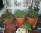 Foto del paso 1 de la receta: Albóndigas con fideos caseros cinta