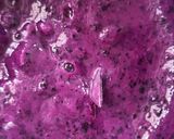 જાંબુ આઈસ્ક્રીમ (Jamun Ice cream Recipe In Gujarati) રેસીપી સ્ટેપ2ફોટો