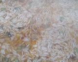A picture of step 5 of Matar Pulao.
