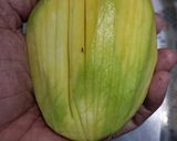 Foto langkah ke 2 dari resep Asinan Kocok Dadakan.