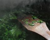 عکس مرحله 1 از دستور سیرواویج (گیلانی)