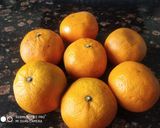 A picture of step 1 of Orange Punch.