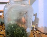 Foto del paso 3 de la receta: Licor de Guaco