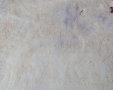 Foto del paso 6 de la receta: Strudel bicolor