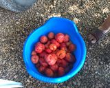 Foto del paso 1 de la receta: Pisto manchego Piedrabuenero