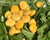 Foto del paso 2 de la receta: Ensalada de colores, con altramuces (lupines)