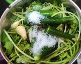 A picture of step 1 of Green chutney.