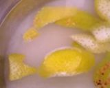 Foto del passaggio 1 della ricetta Sciroppo alla menta