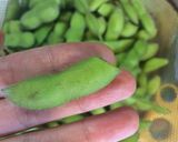 A picture of step 2 of Boiled green soybeans (edamame).