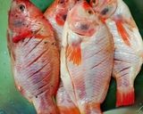 Foto langkah ke 1 dari resep Ikan Nila Bumbu Acar Kuning.
