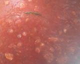 Foto del paso 4 de la receta: Tuco (tuco criollo)