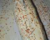 Foto del paso 7 de la receta: Canelón XXL de calabacín relleno de patata, rape y gambas langostineras