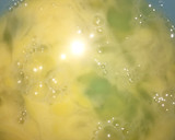 A picture of step 2 of Chicken nugget.