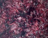 A picture of step 1 of Zobo.