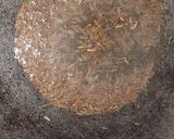 A picture of step 3 of Cumin seeds sago.