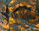 Foto del paso 2 de la receta: 489. Chuletas de Sajonia a la madrileña (principal carne)