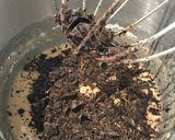 Foto del passaggio 3 della ricetta Ciambella di cachi e cioccolato