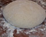 Foto del paso 1 de la receta: Calzone de verduras con pollo en masa madre