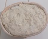 Foto langkah ke 13 dari resep Oregano Basil Cheddar Sourdough Bread (Oven Tangkring).