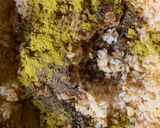A picture of step 2 of Smokey rice.