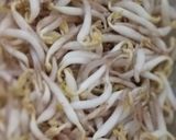 Foto langkah ke 7 dari resep Soto Ayam Bening.