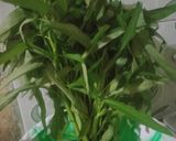 Foto langkah ke 1 dari resep Cah Kangkung Udang Saos Tiram.