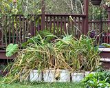 A picture of step 1 of Stir-Fried Eggs with Water Bamboo.