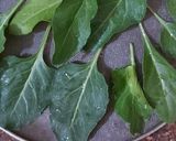 पालक पकौड़ा (palak pakoda recipe in Hindi) रेसिपी चरण 1 फोटो