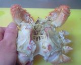 A picture of step 10 of How To Shell a Hair Crab.